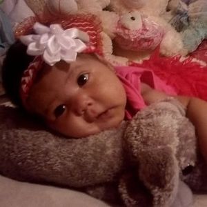 Meet your Posher, Kleiver